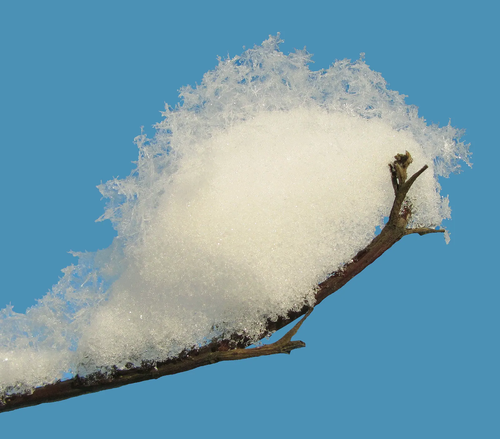 Snow on bare winter trees