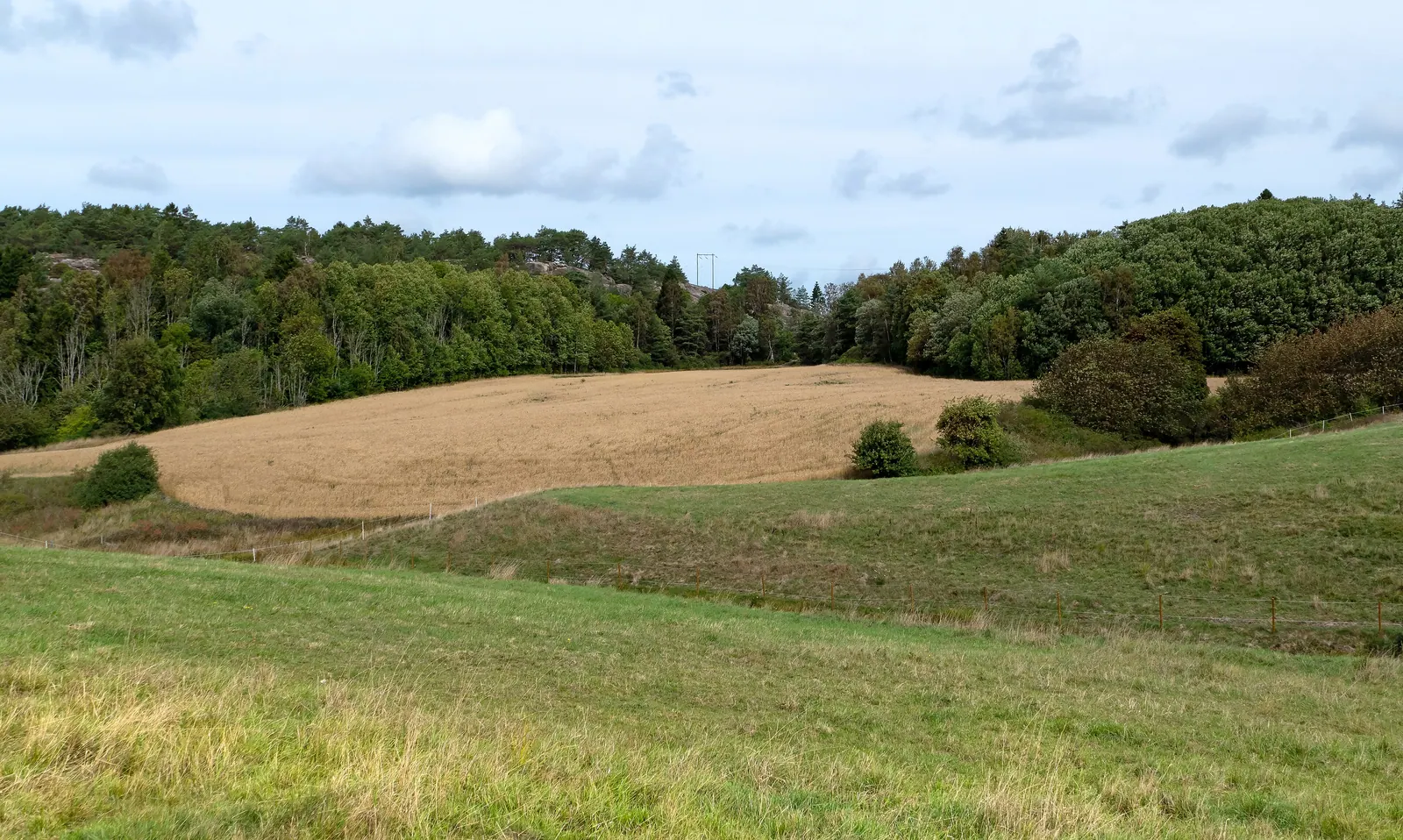 Rolling green hills under a soft sky