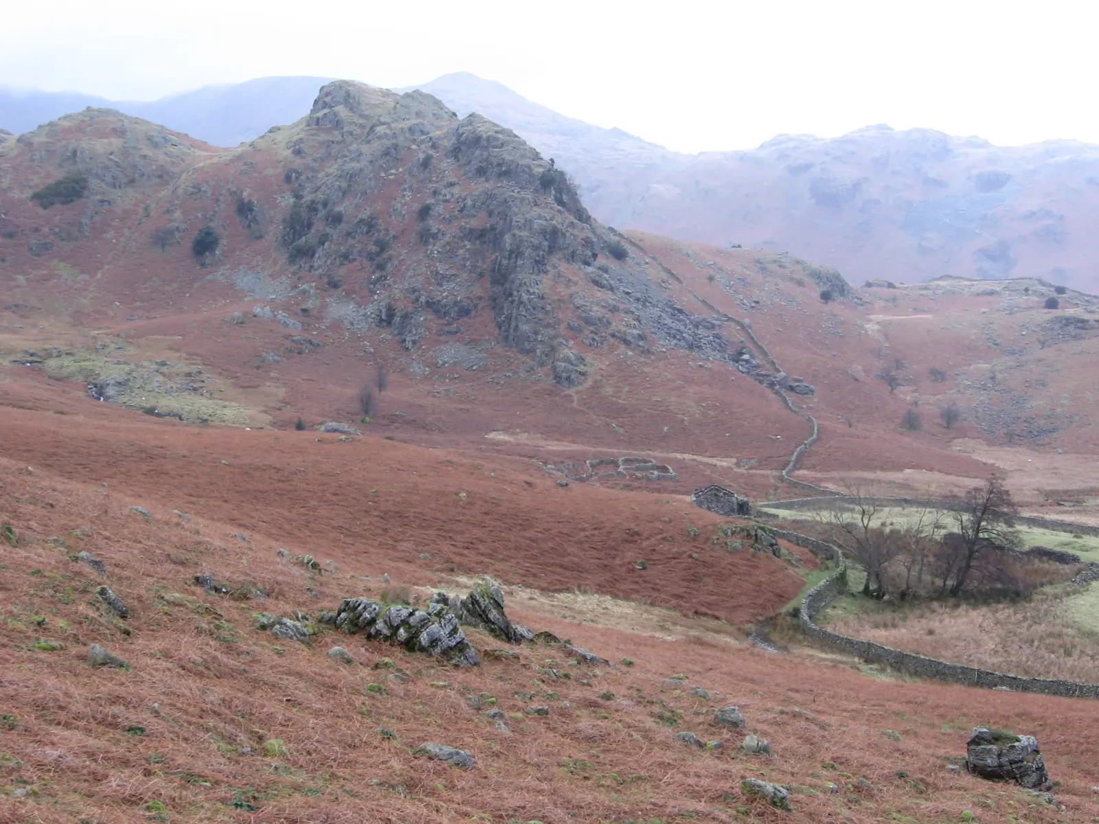 Dry stone walls climbing a green hillside