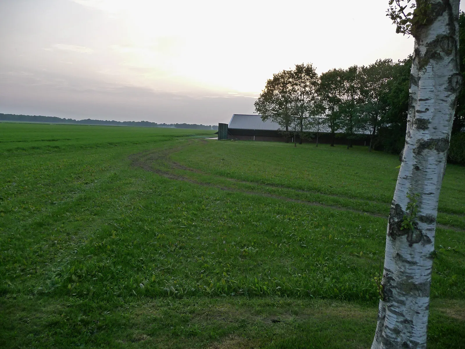 Fields and a large barn in the evening light