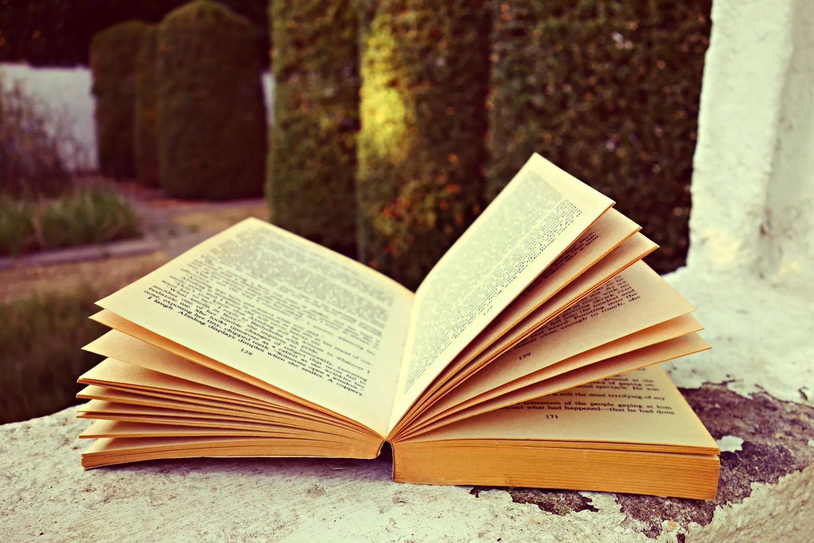 An open book lying on a stone ledge