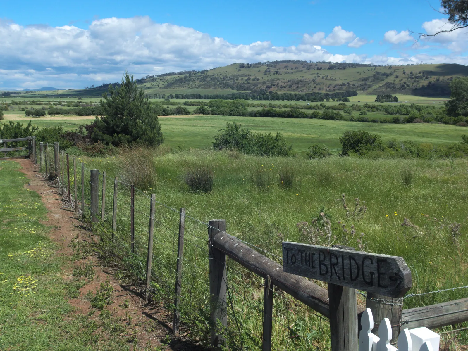 Fields and hedgerows outside Ross on a bright day