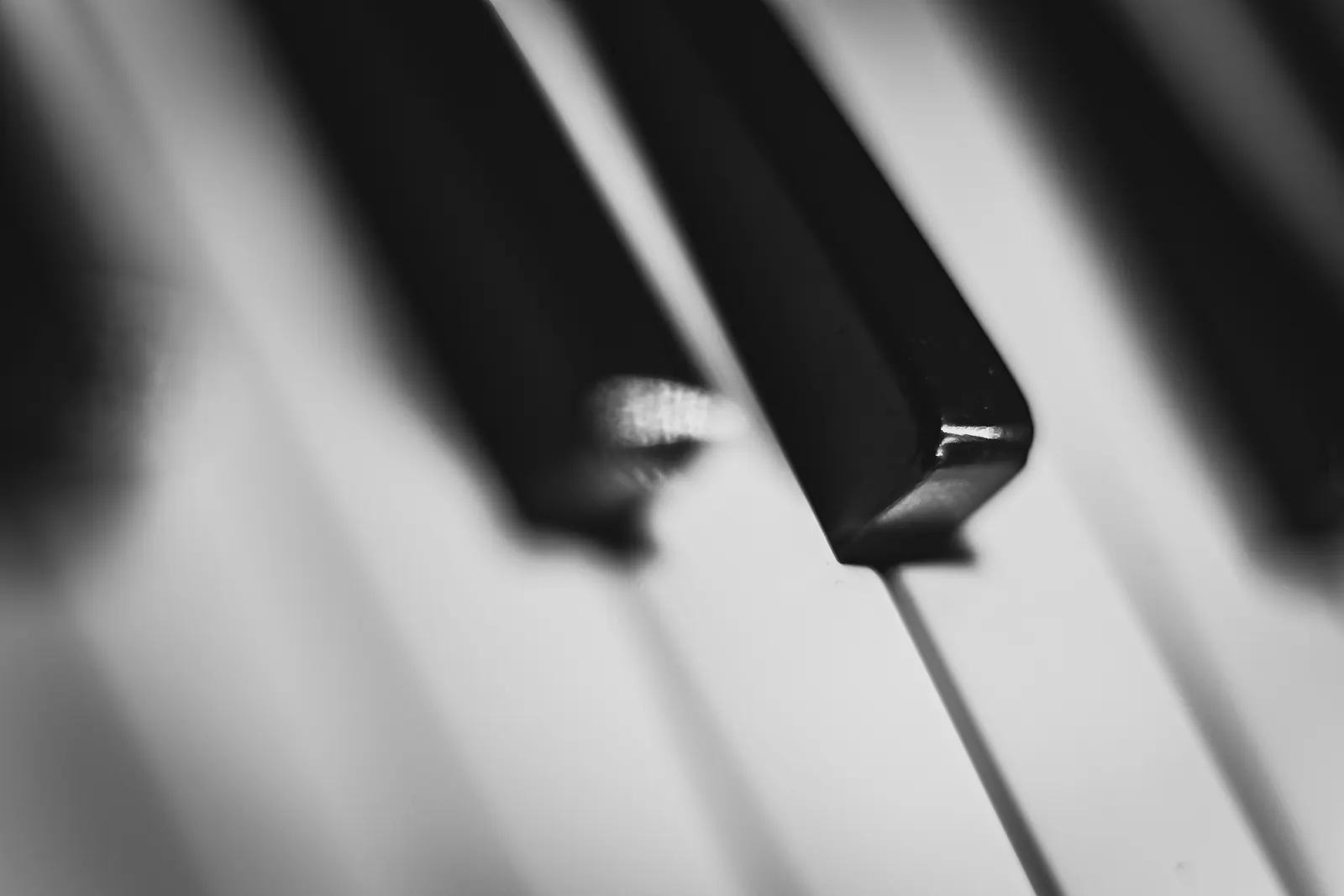 Piano keys seen close up
