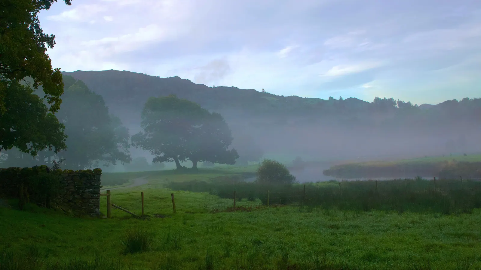 A misty valley of fields, a stone wall and old trees