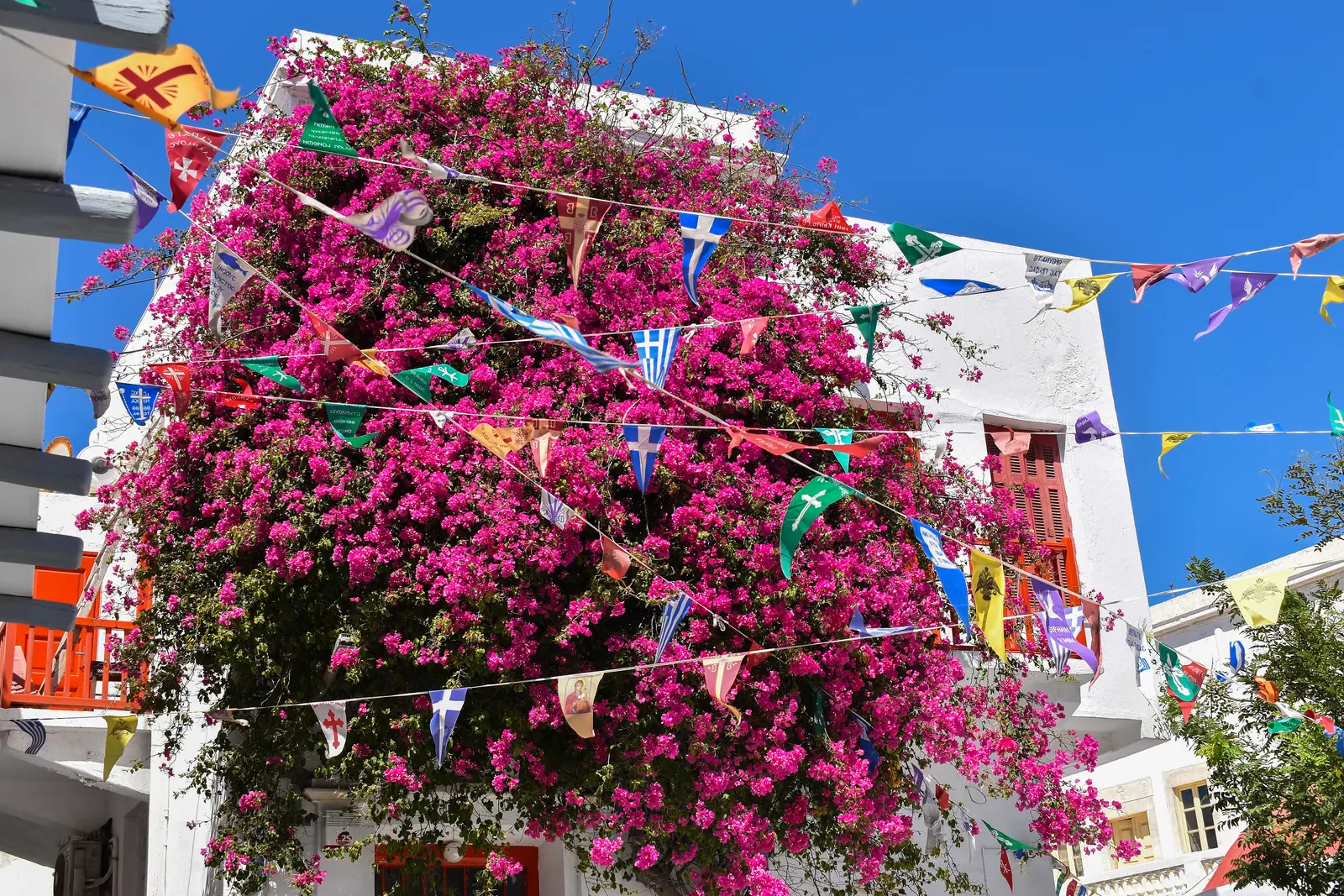 Bunting and flowers outside a building